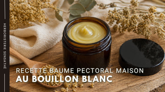 Recette baume pectoral maison au bouillon blanc - Herboristerie Sensathé Recette baume pectoral maison au bouillon blanc - Herboristerie Sensathé